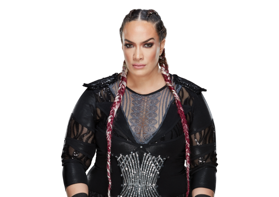 Nia_Jax_Pro--cfebbb7cf7d277b6d4fdde23cac3804a.png