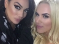 28niajaxwwe2912749851_1658361237758391_1521976584_n.jpg