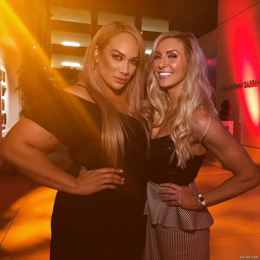 033_niajaxwwe6--8426016051d38194f3923f4ce1920e30.jpg